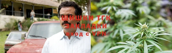 гидра Белоозёрский