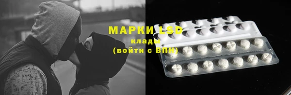 мяу мяу мука Белокуриха