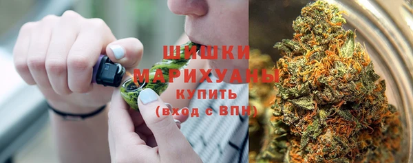 гидра Белоозёрский